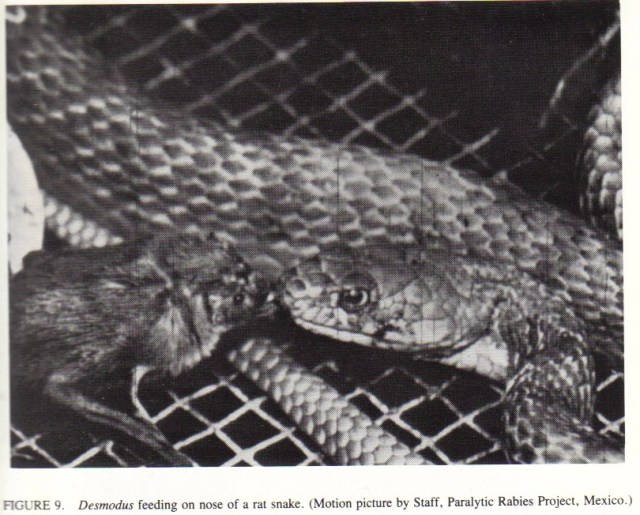 Screen shot 2013-09-25 at 7.14.33 PM