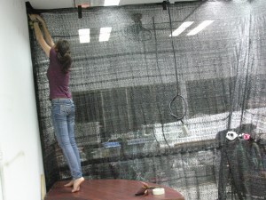 Alyssa hanging flowers in the flight chamber. She only fell off this table once while I was there. The infrared light and camera is seen on the right.