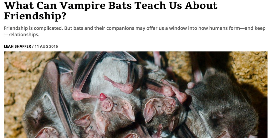 Screen Shot 2016-08-11 at 11.26.02 AM