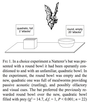 screen-shot-2016-09-11-at-7-52-00-pm