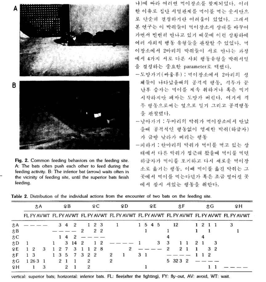 Screen Shot 2017-07-18 at 12.50.32 PM