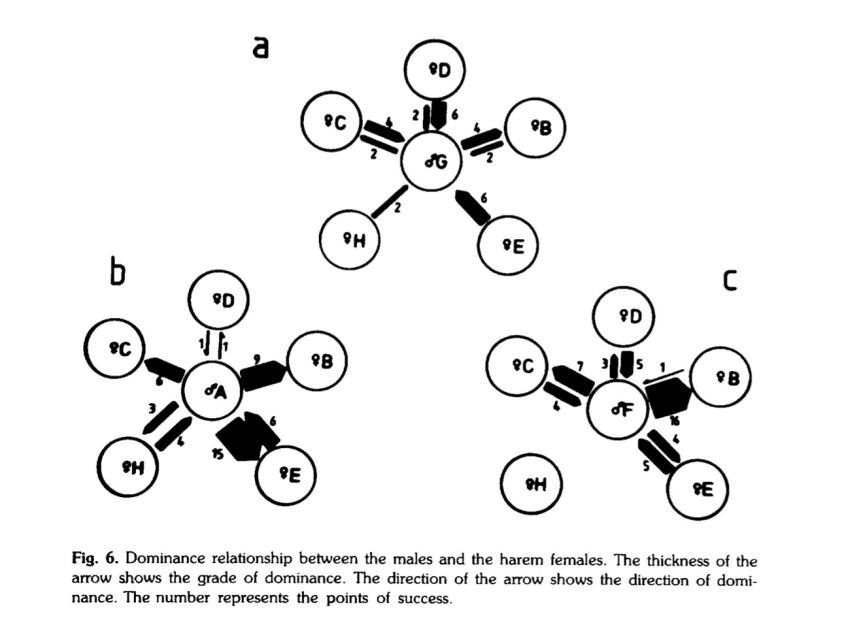 Screen Shot 2017-07-18 at 12.51.05 PM