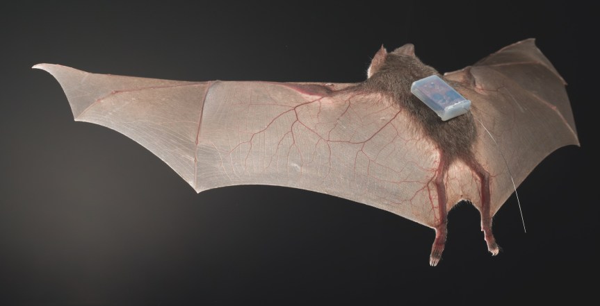 Screen Shot 2018-04-28 at 8.39.24 AM