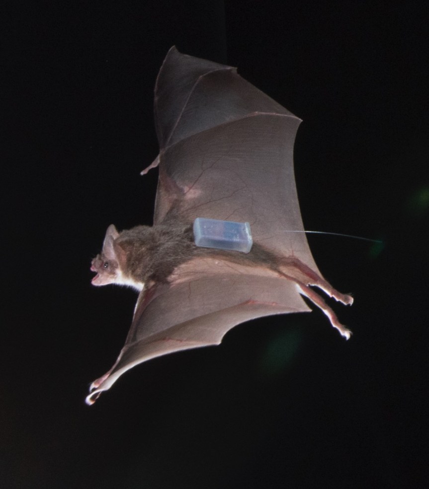 Screen Shot 2018-04-28 at 8.39.38 AM